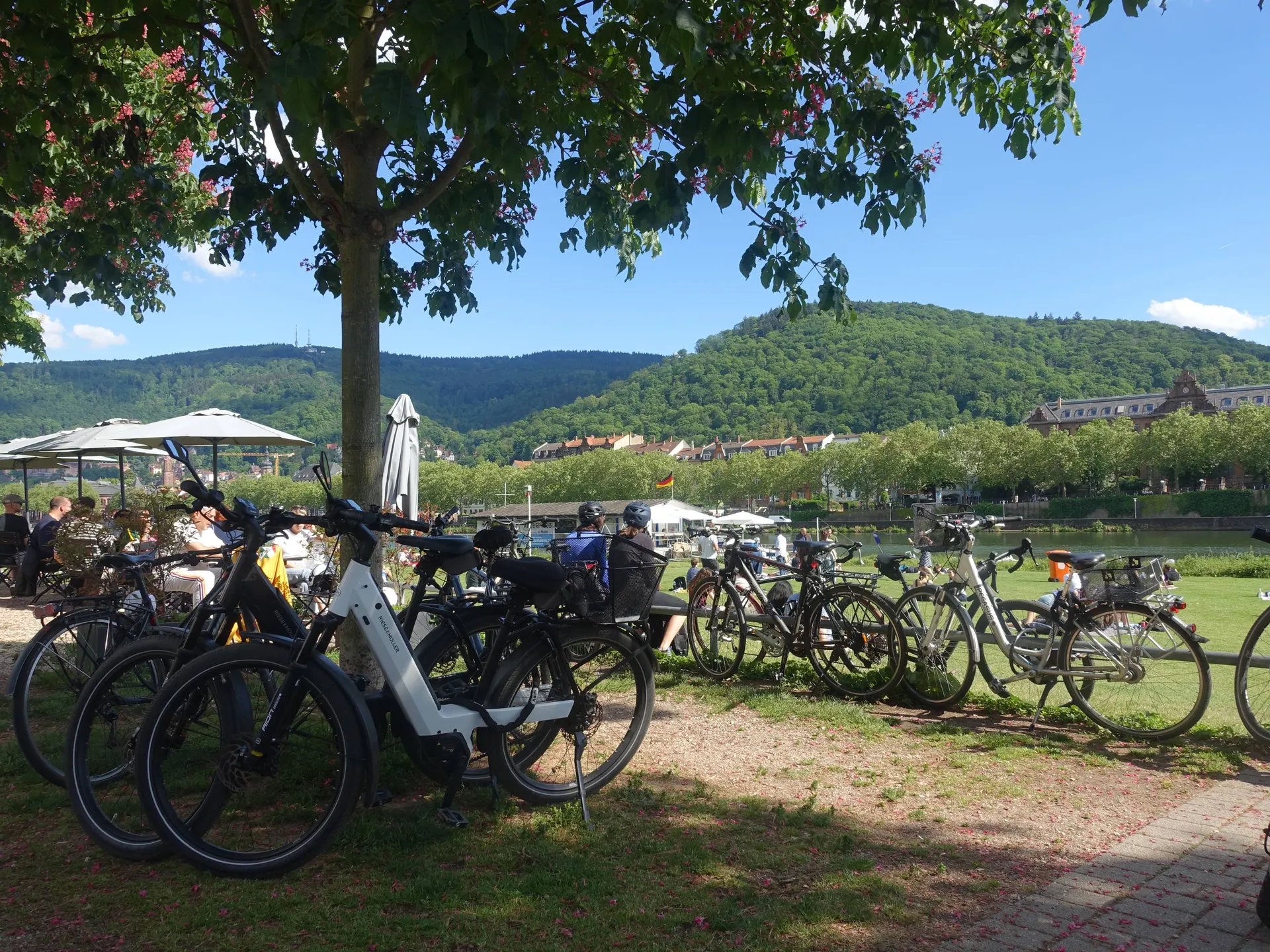 E-Bike Tour durch Heidelberg