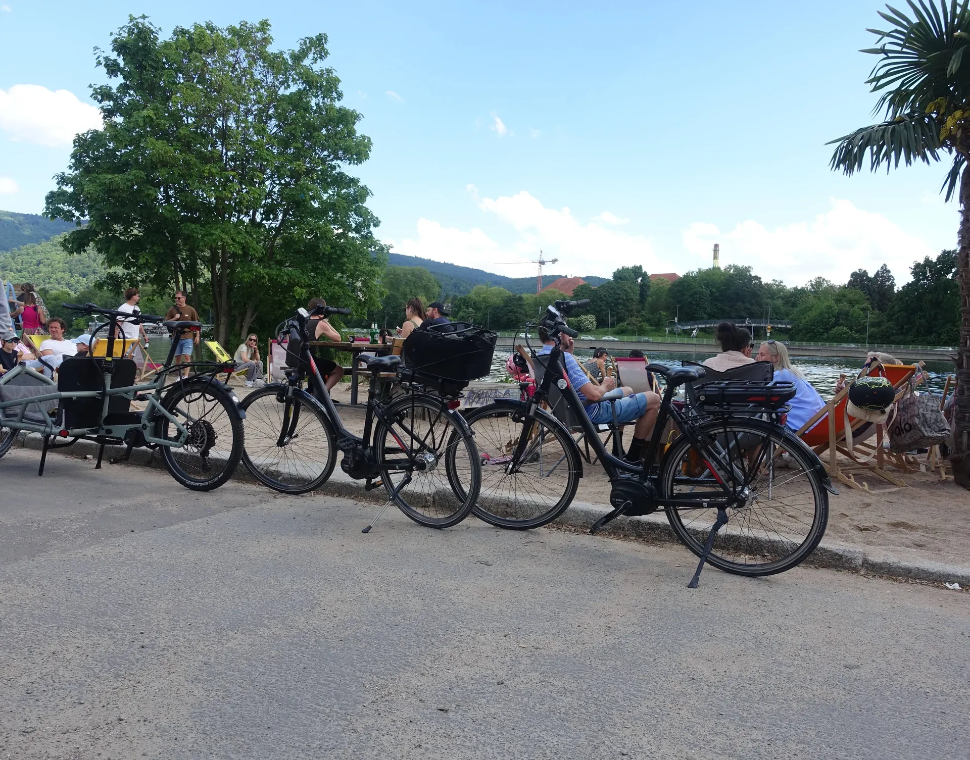 Heidelberg wirklich erleben mit dem E-Bike